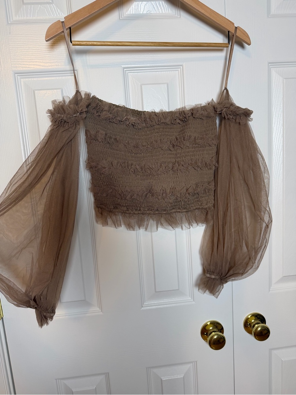 Sheer Puff-Sleeve Smocked Crop Top in Brown